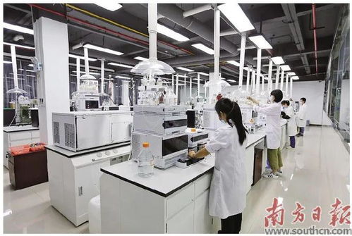 蓬江 以科技創新為引擎，新材料研發驅動產業升級